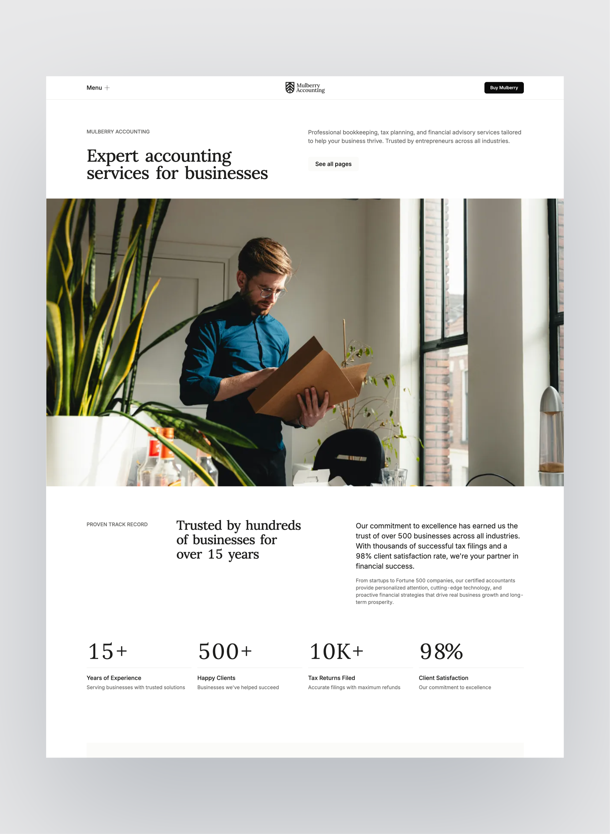 Mulberry accounting landing page with clean, professional layout
