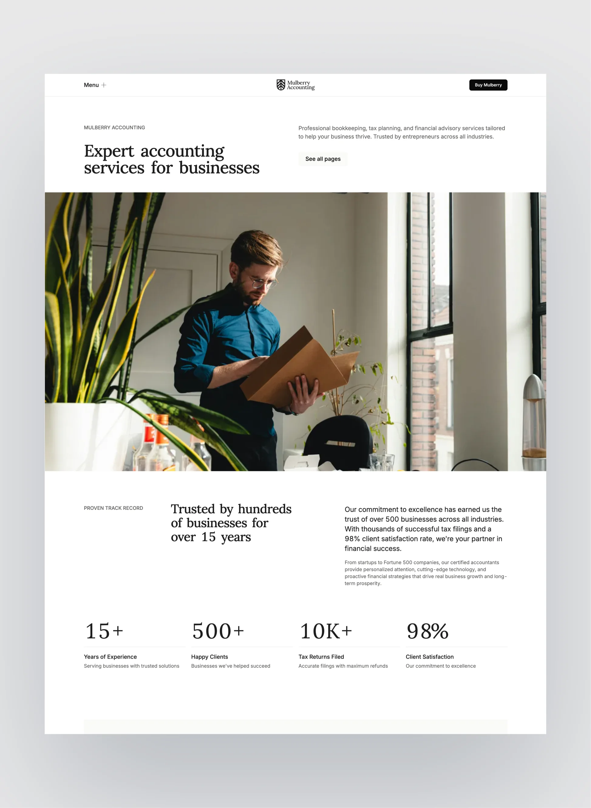 Mulberry accounting landing page with clean, professional layout