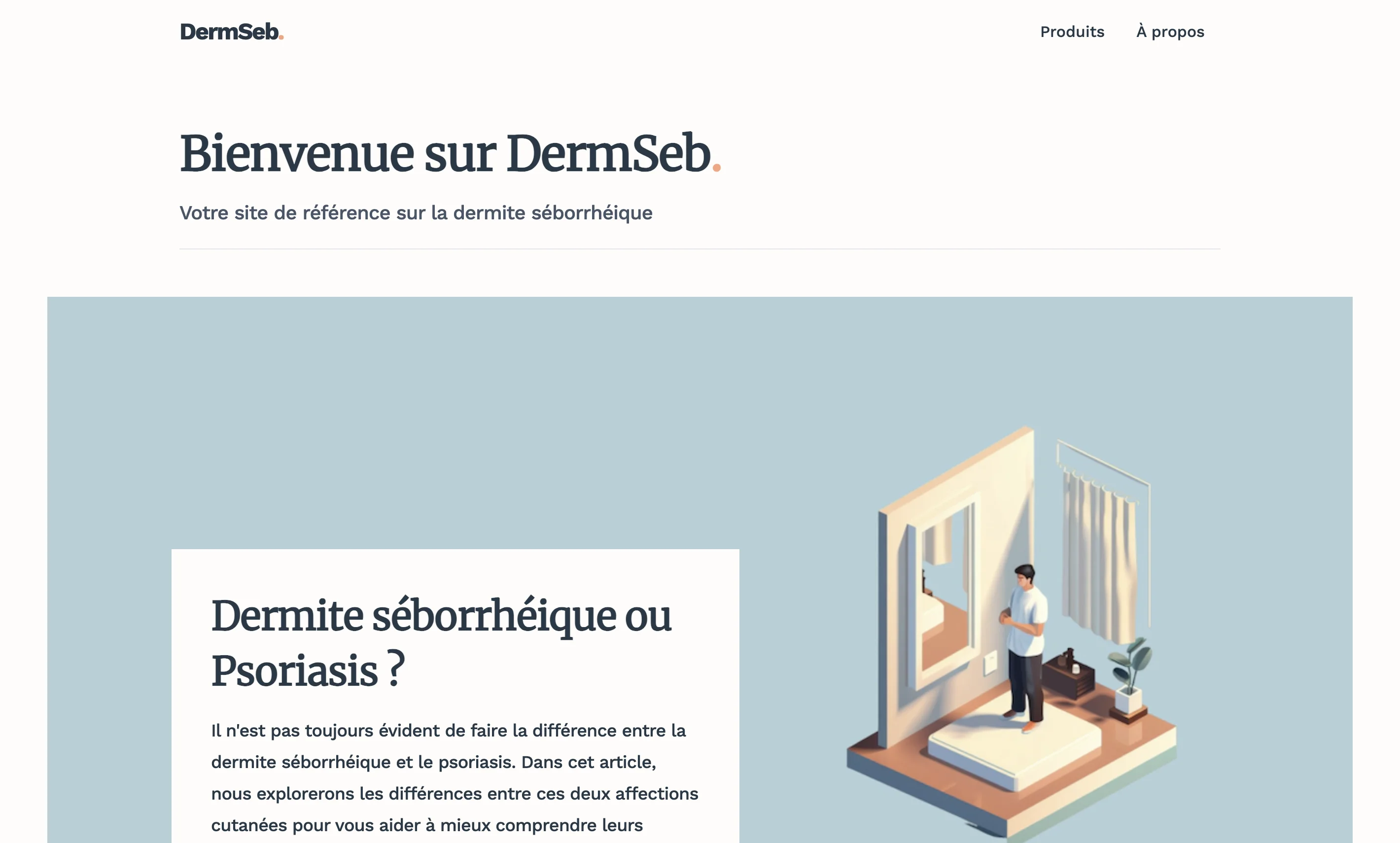 DemSeb website preview