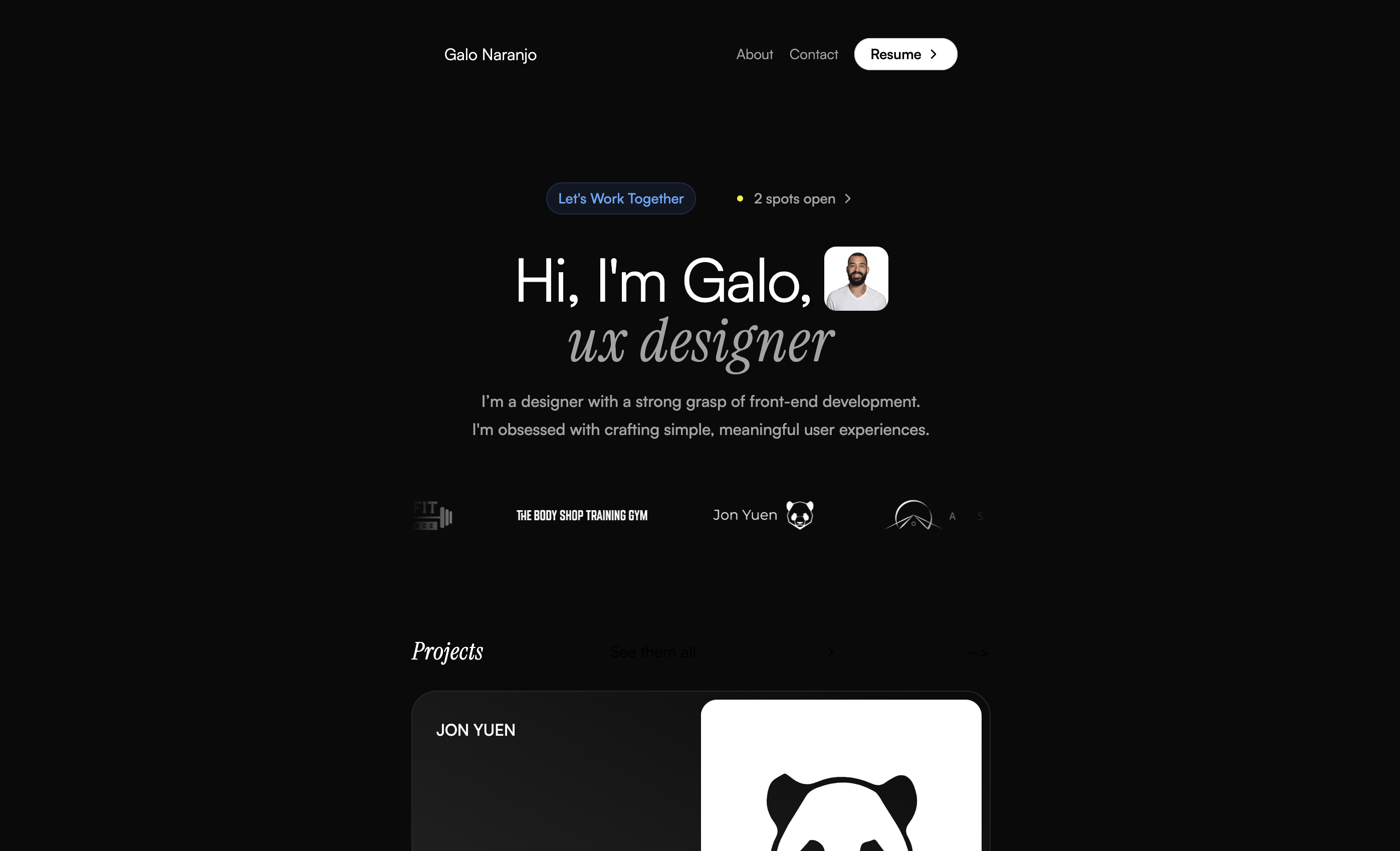Galo website preview