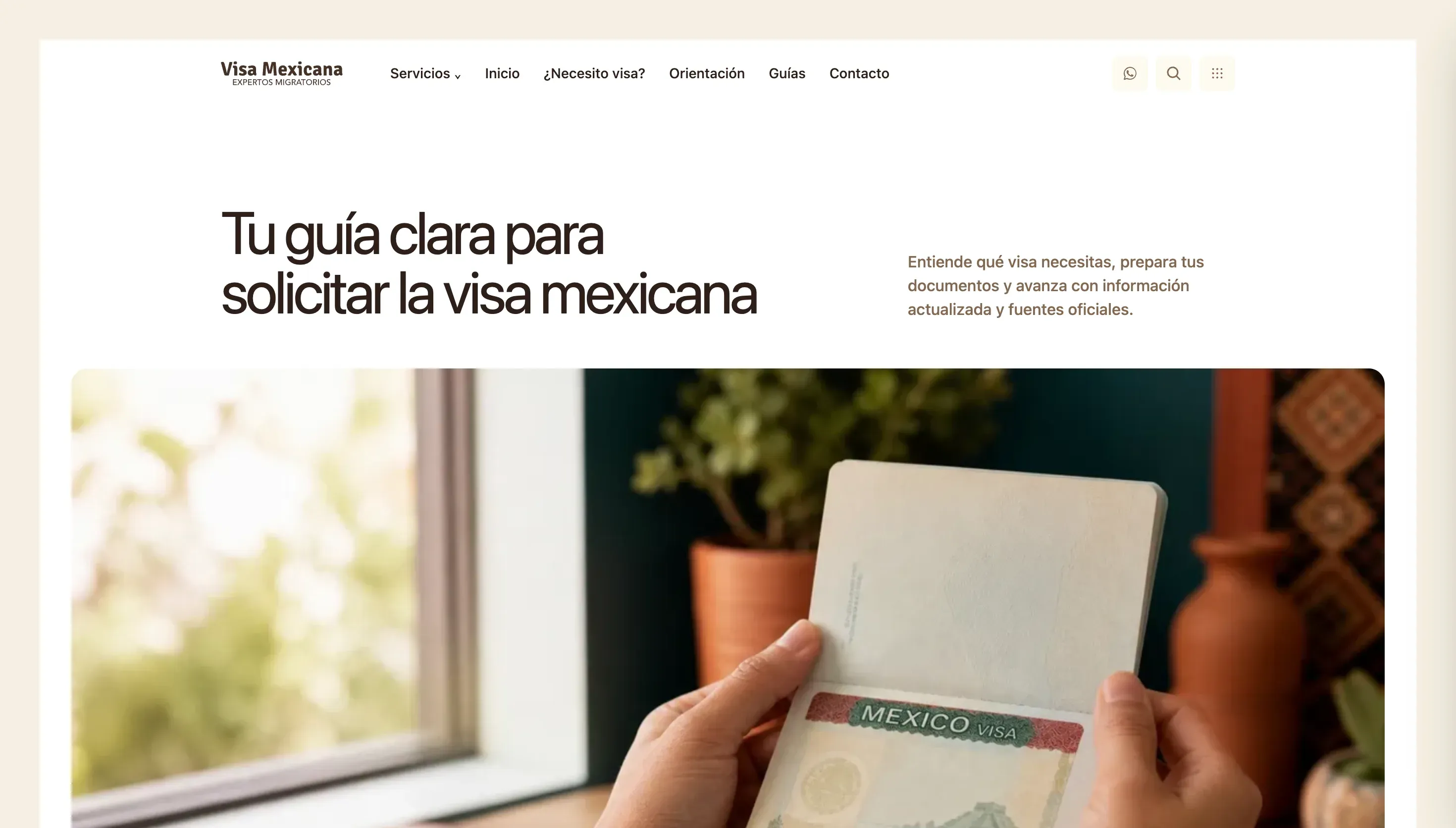 Visa Mexicana website preview